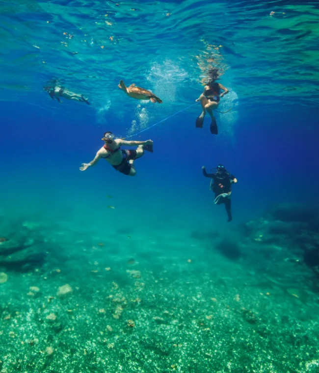 Snorkeling Vs Scuba Diving