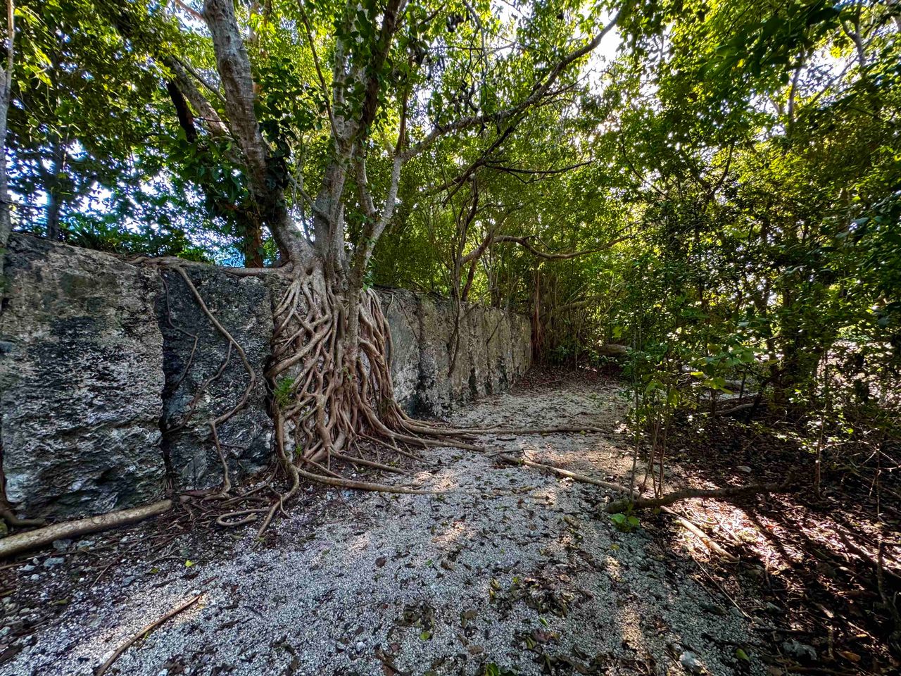 Windley Key Fossil Reef Geological State Park