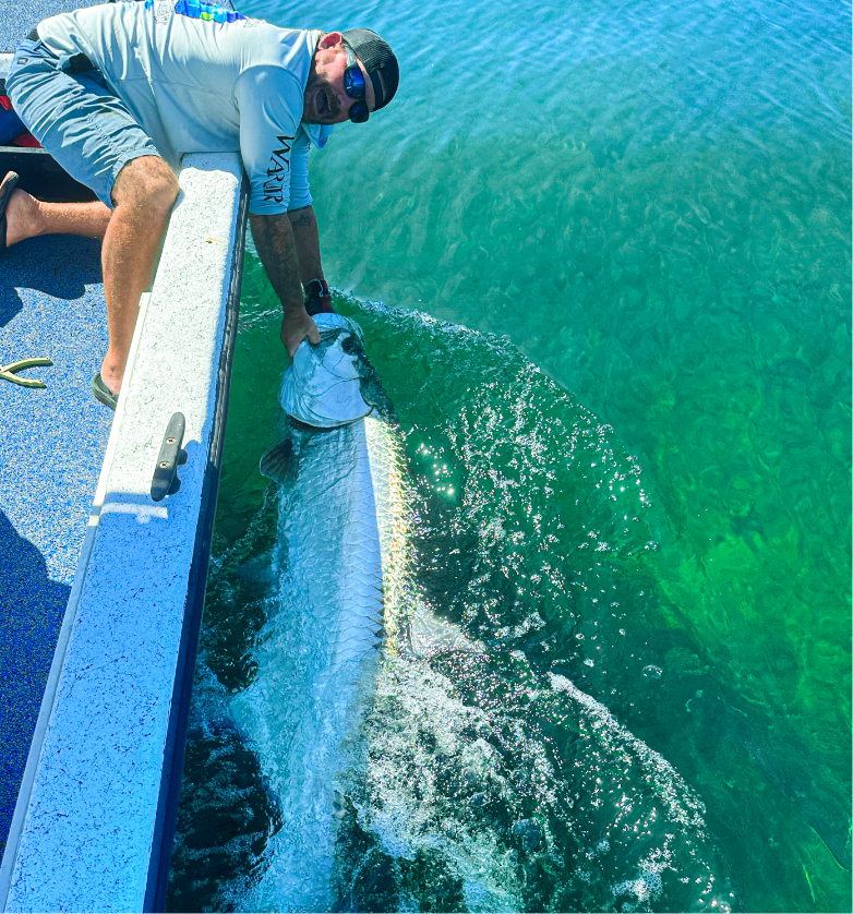 WHERE TO GO TARPON FISHING IN THE FLORIDA KEYS