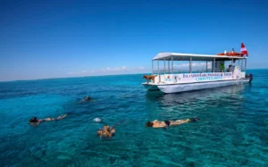 Snorkeling in Crystal Clear Waters