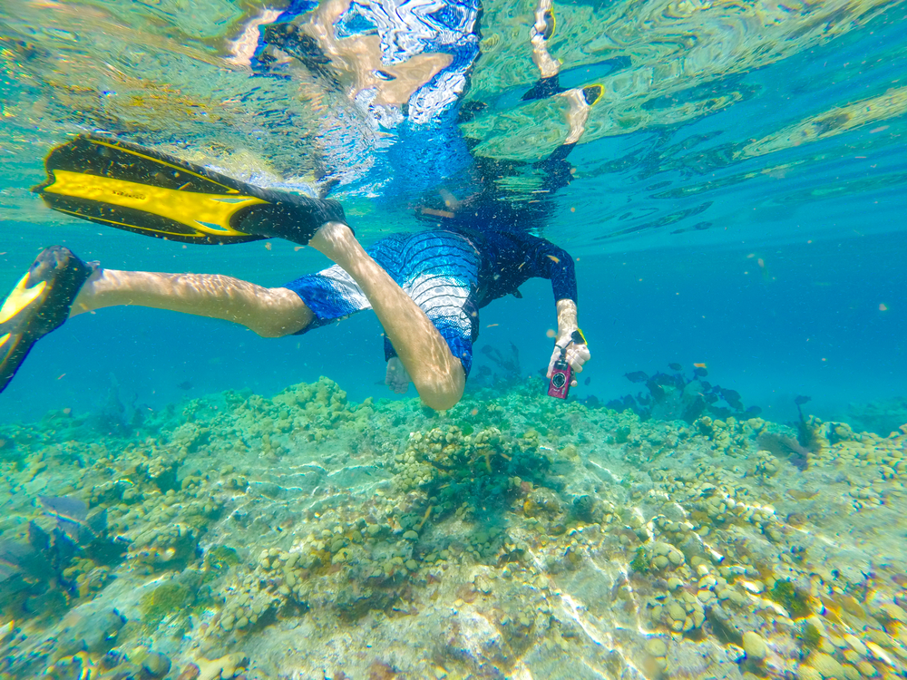 Key West Snorkelling 