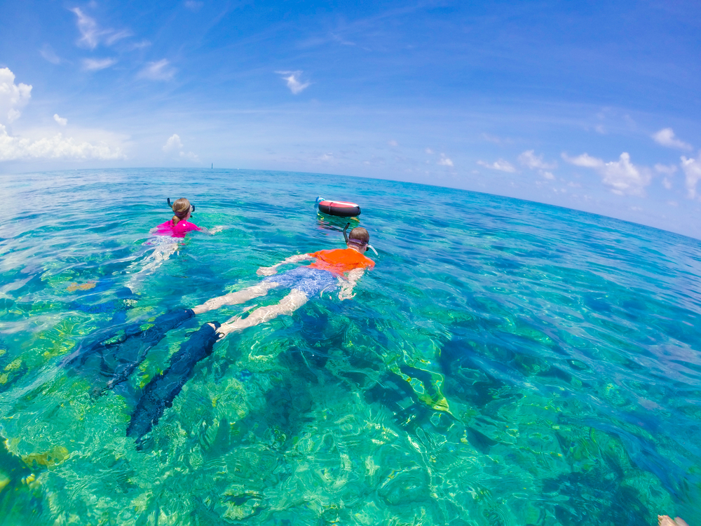 Snorkelling in Key West