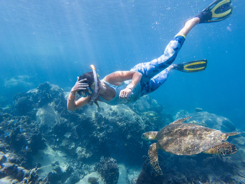 Top 10 Places to Snorkel in Islamorada