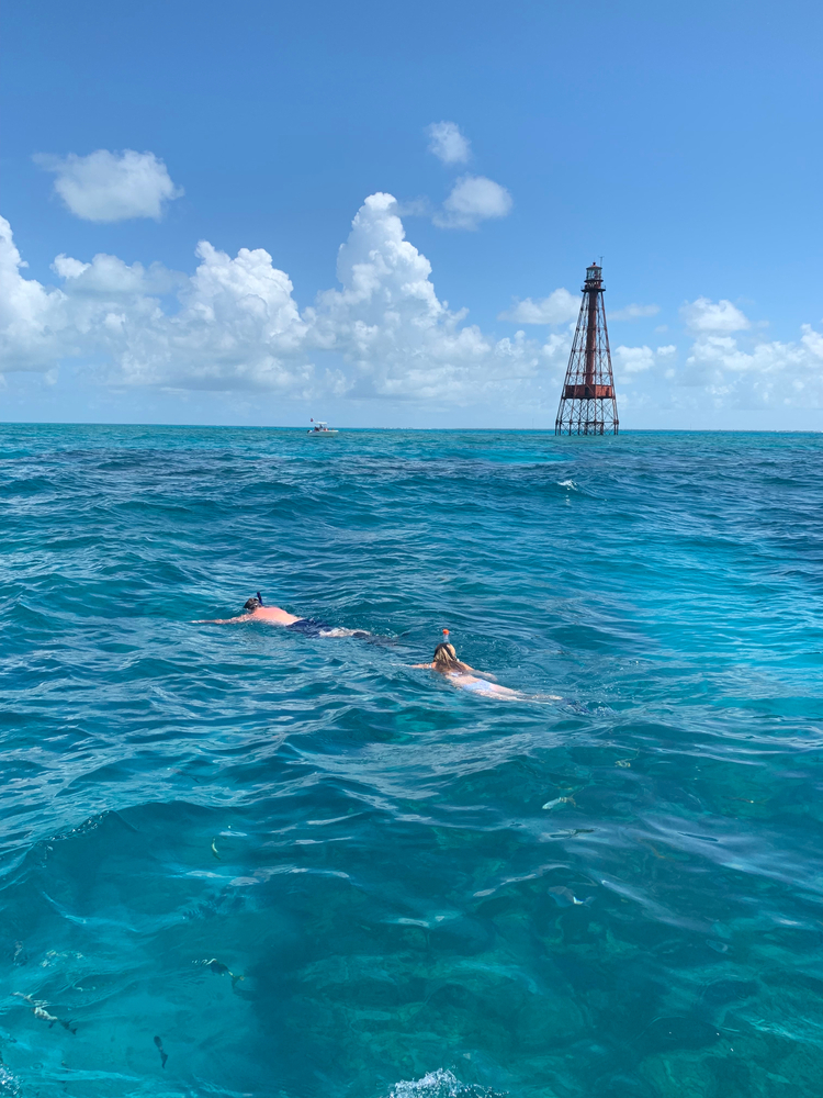 alligator reef lighthouse snorkeling