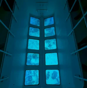 GLASS BOTTOM BOAT TOUR