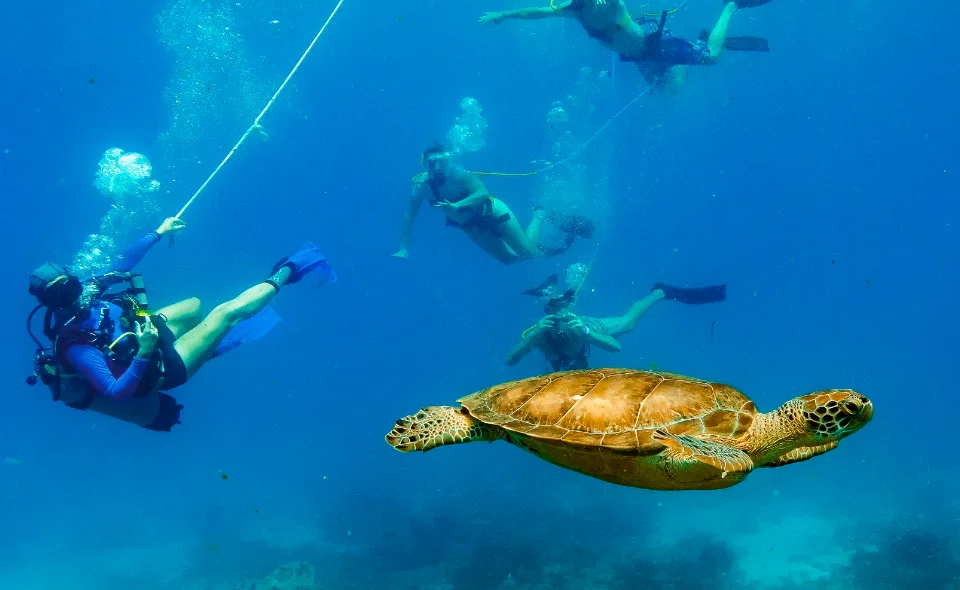 Activities 2 Activities 2