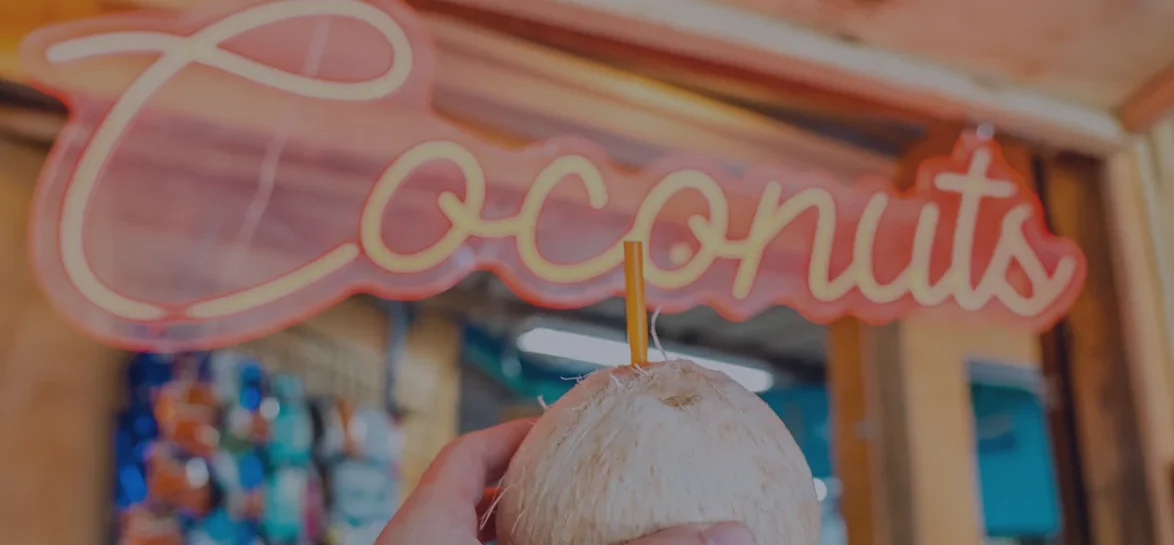 Tarpon Feeding in Islamorada, Florida
