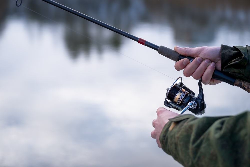 Man catching fish by pulling on the rod while fishing from a lake or pond.