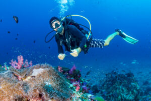 SCUBA divers swimming over a colorful