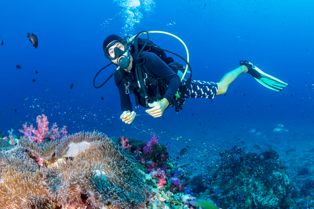 SCUBA divers swimming over a colorful