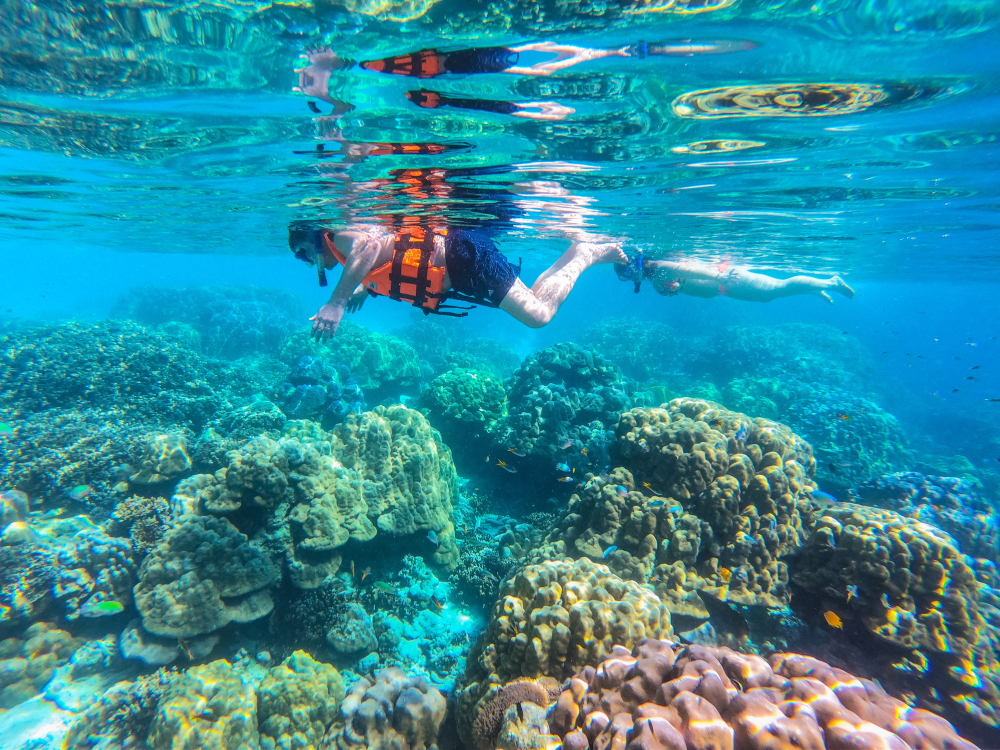 diver is snorkeling at Similan island