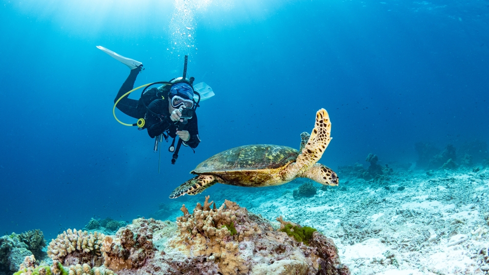 Female diver taking a picture of a turtle