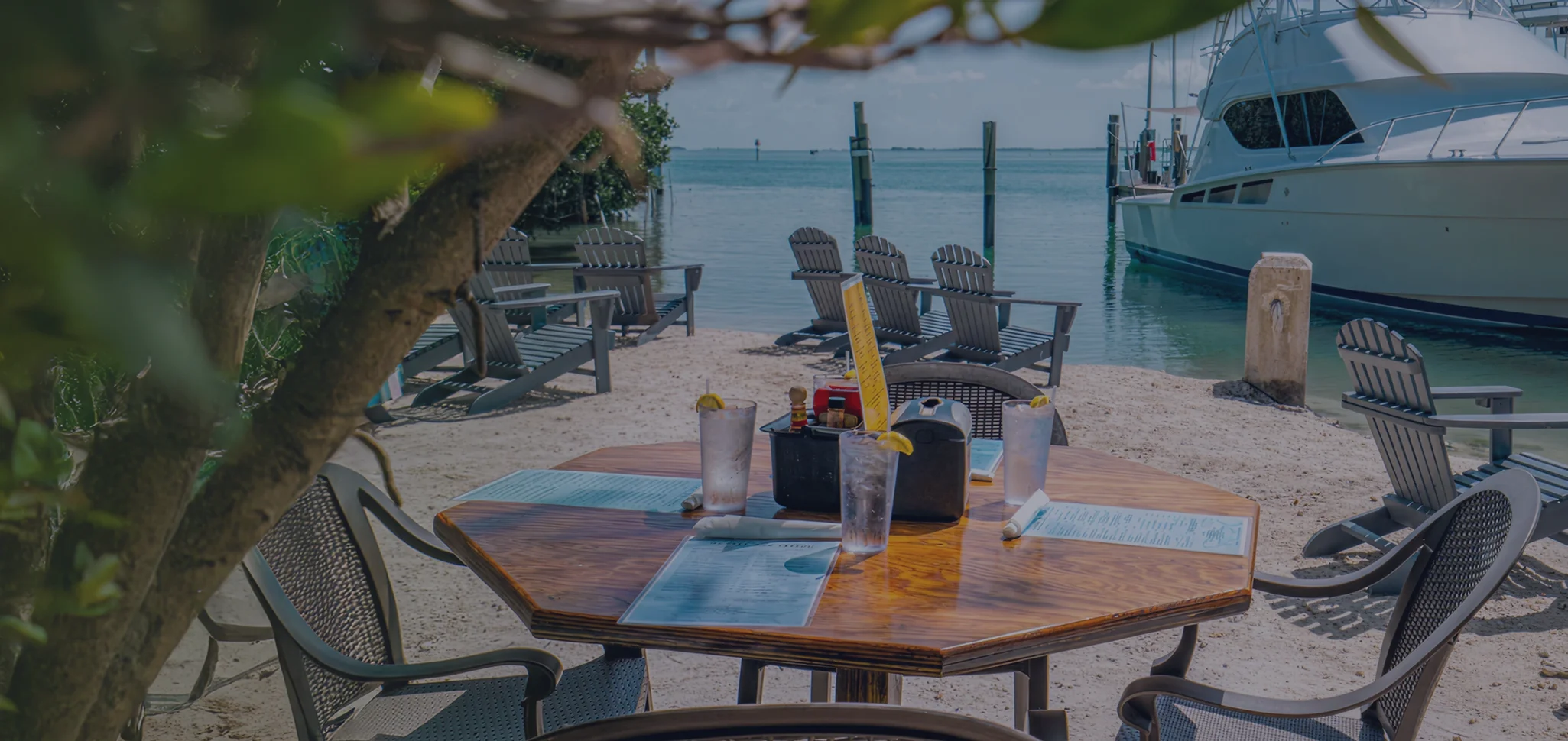 Tarpon Feeding in Islamorada, Florida