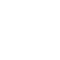 ICON_LIVECAM