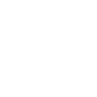 ICON_SHOP