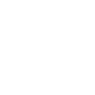 ICON_THRIFT-STORE